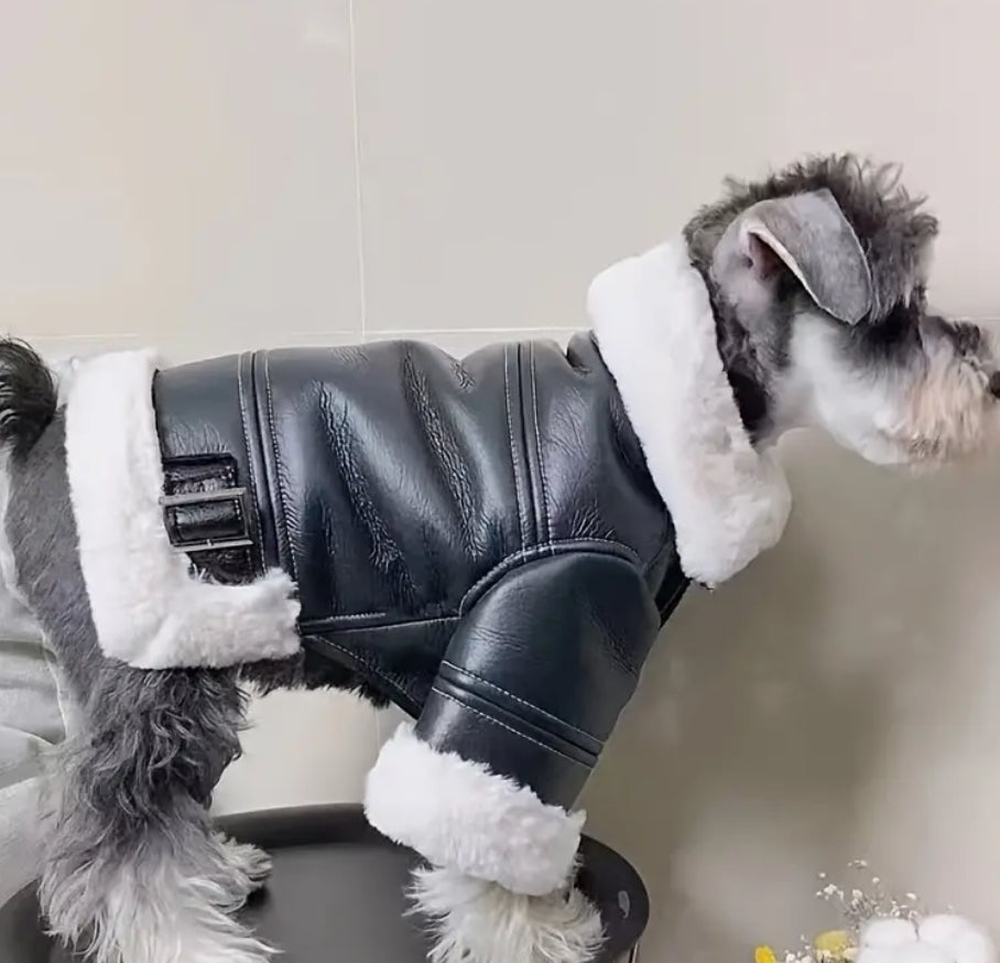 Pet Leather Jacket