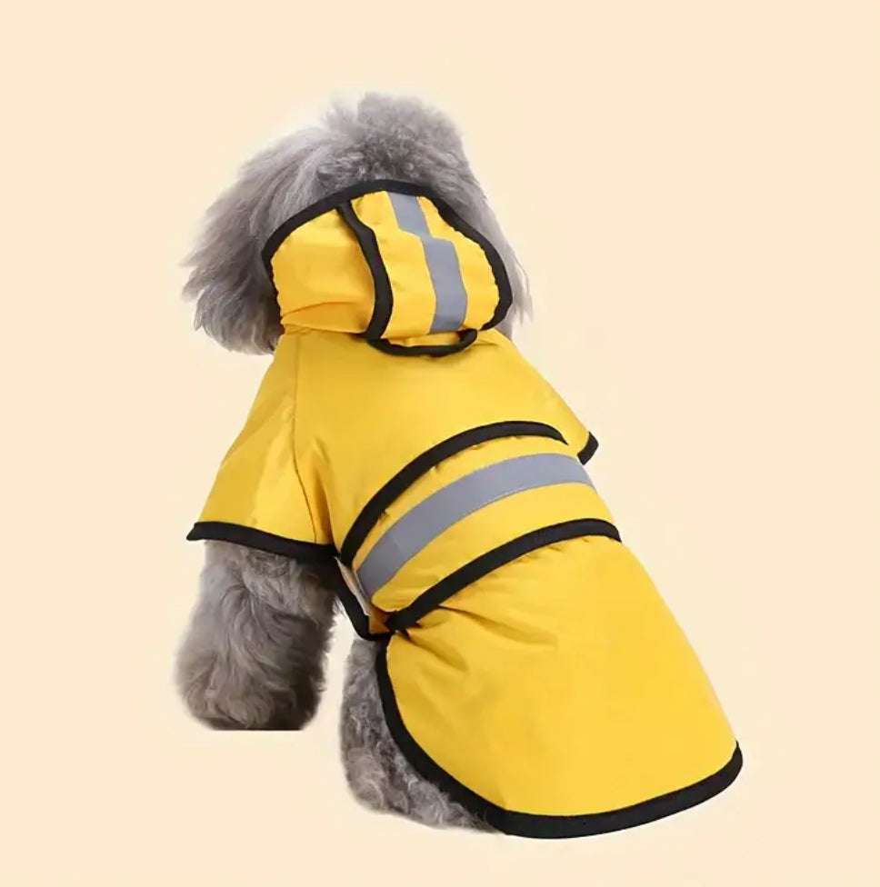 Yellow Dog Cape Raincoat