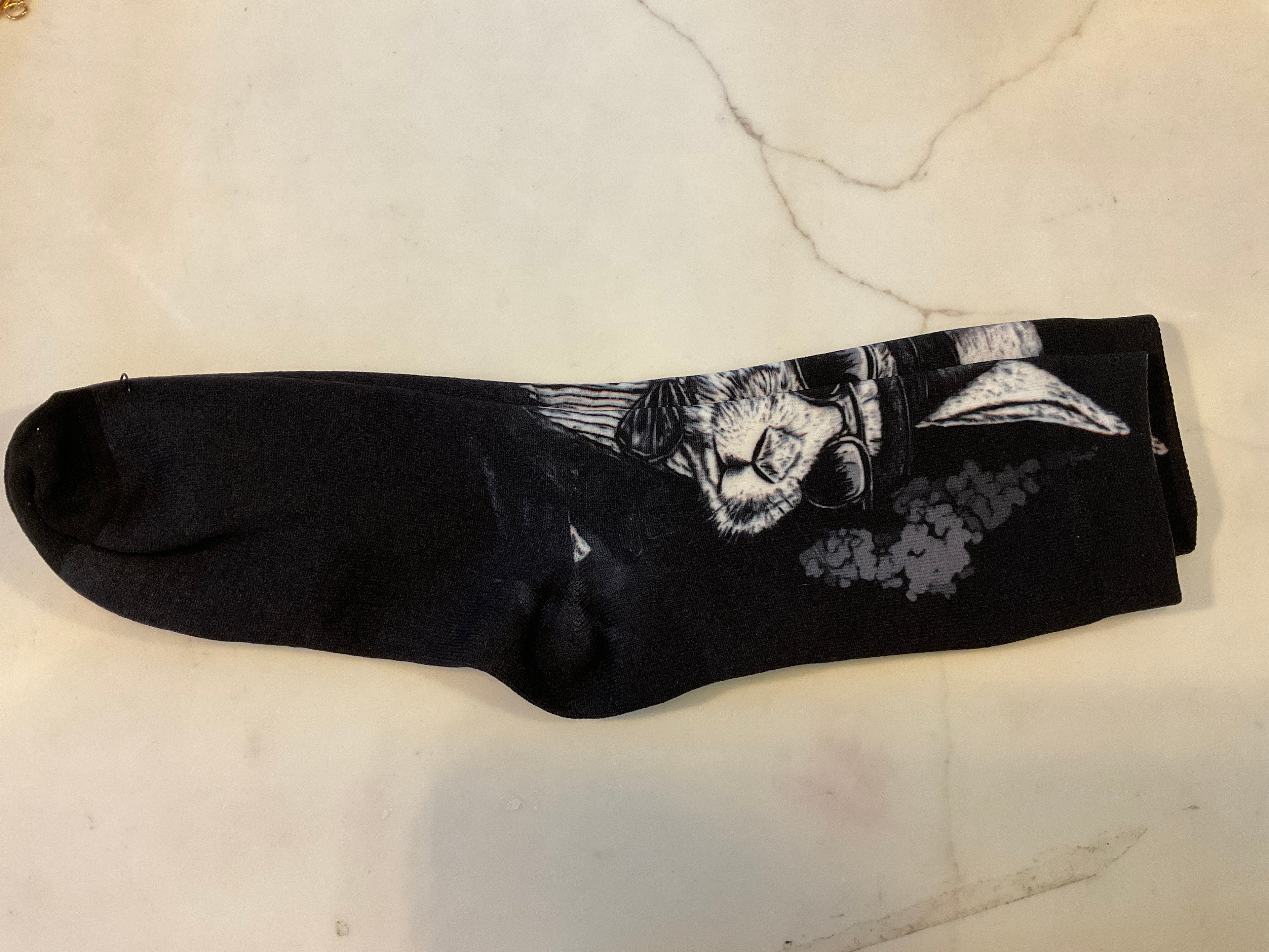 Rabbit socks with sunnies and fedora