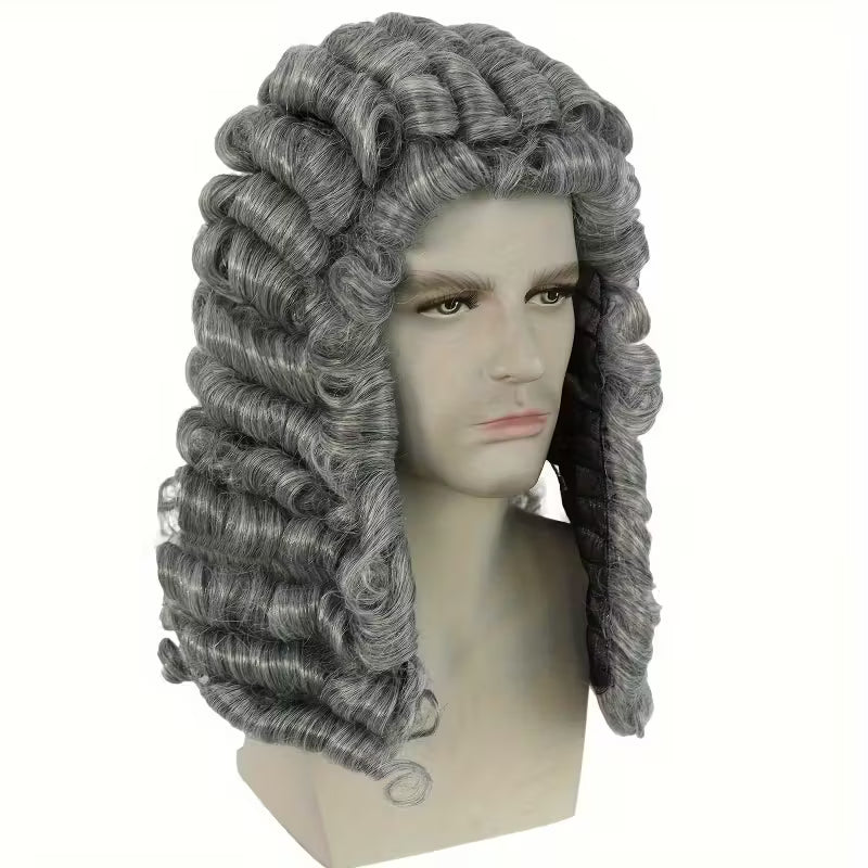 New Long Curly Gray Wig – Heat Resistant Synthetic