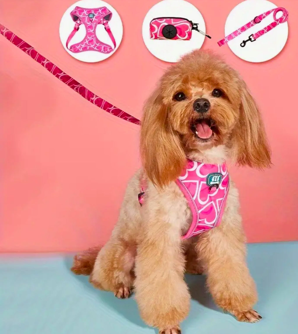 Ensemble de harnais 3 pièces avec cœurs