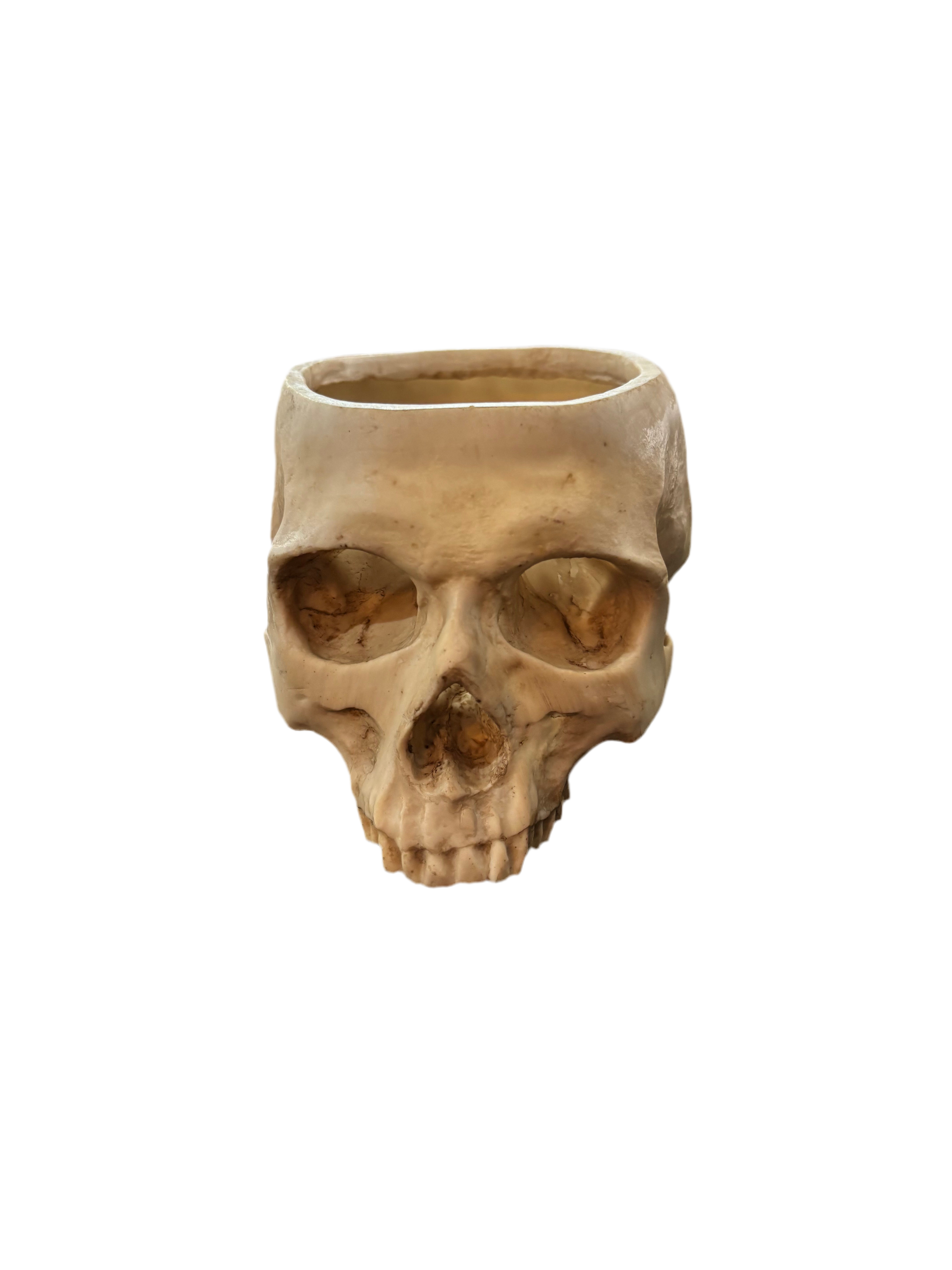 Human skull planter pot
