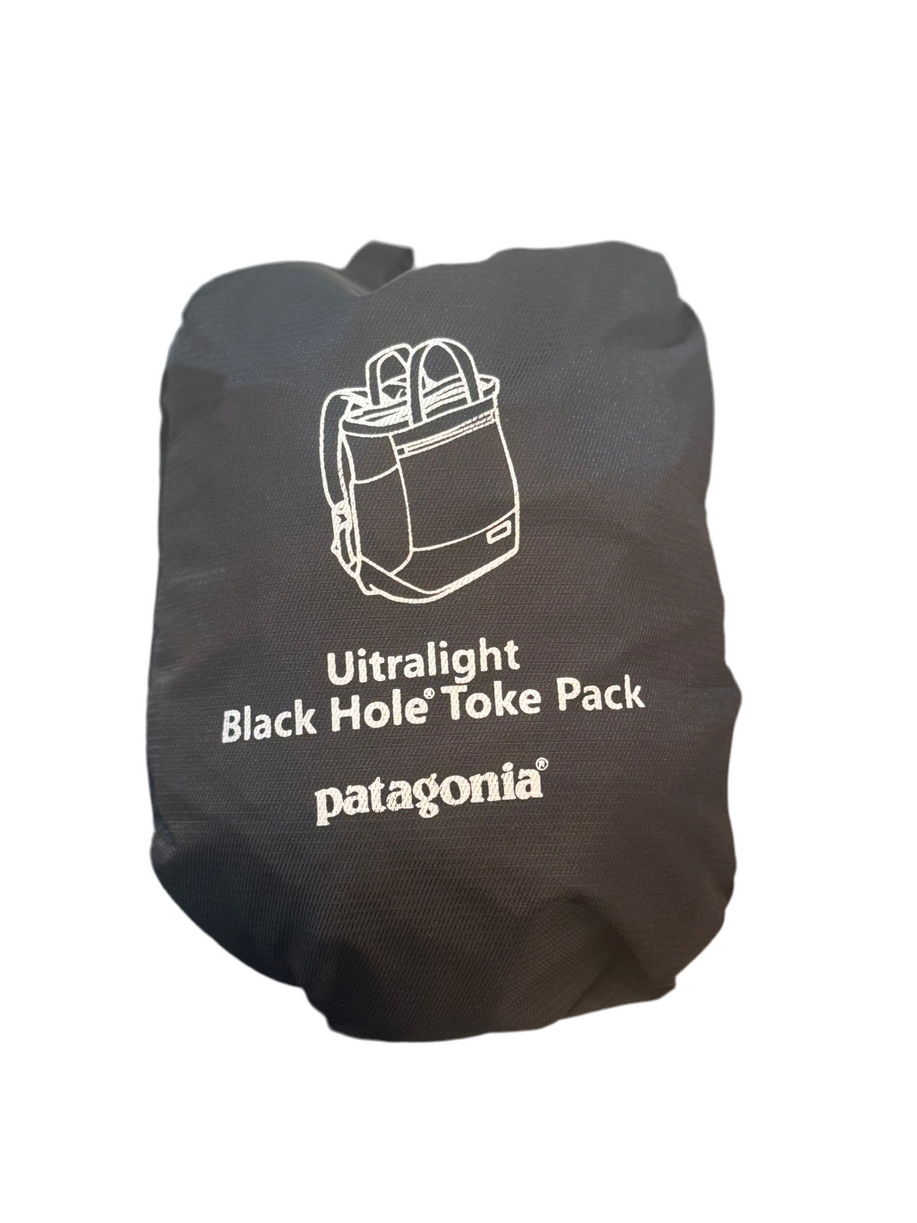 Patagonia convertible bag