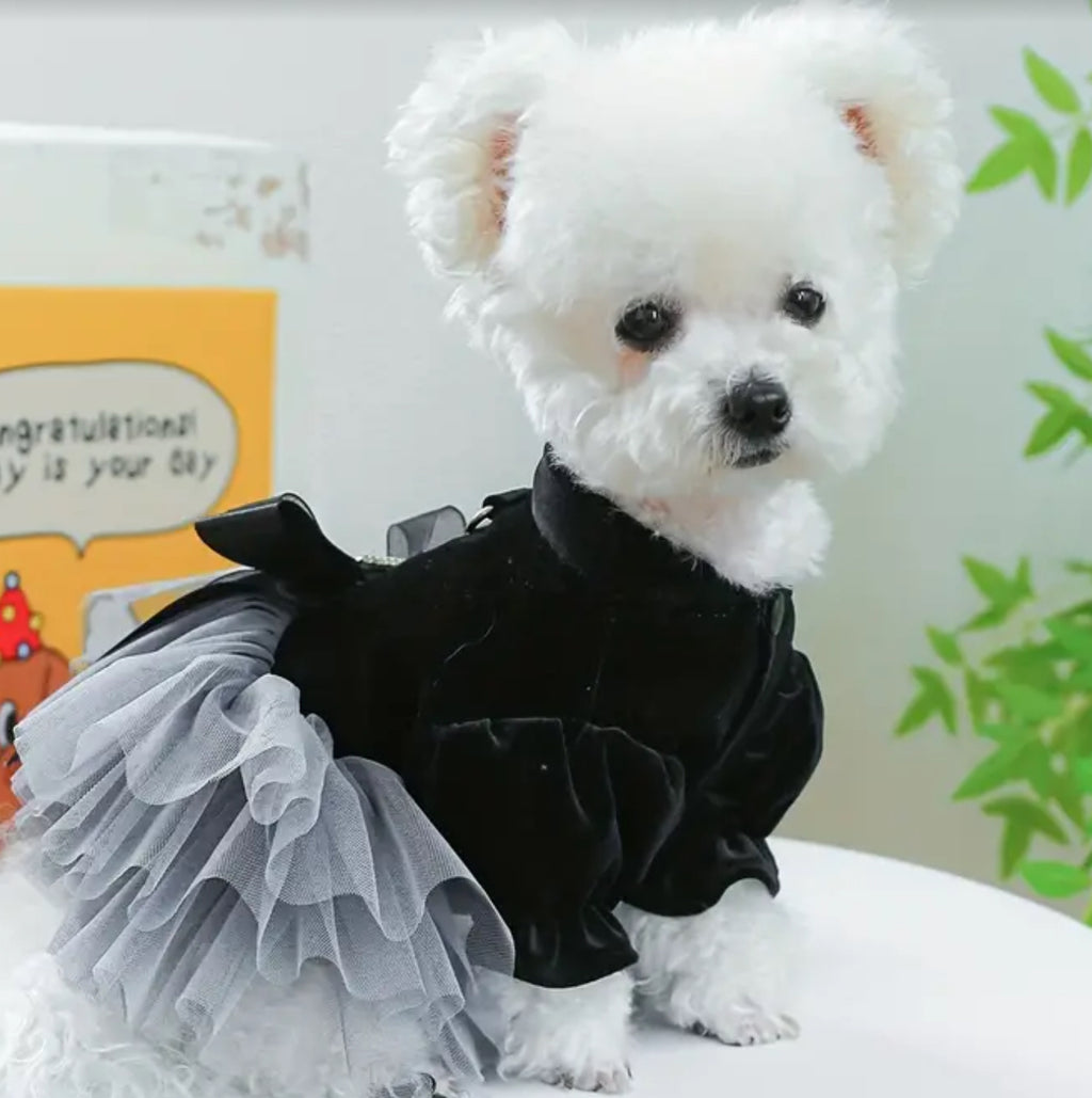 Robe en velours noir