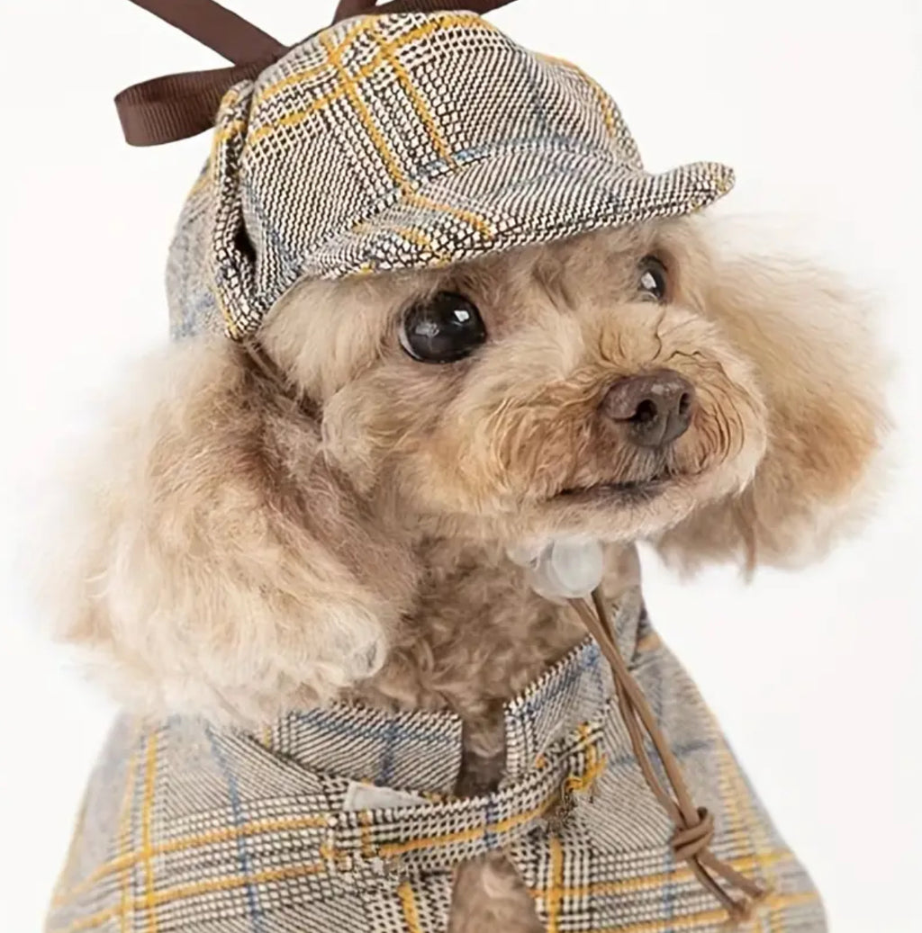 Cape et chapeau de détective