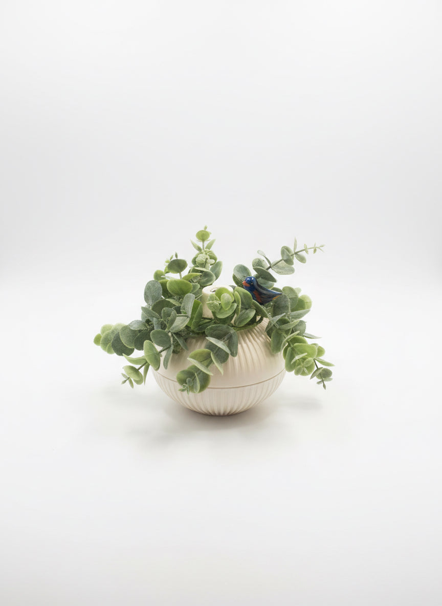 Diffuser with Bird