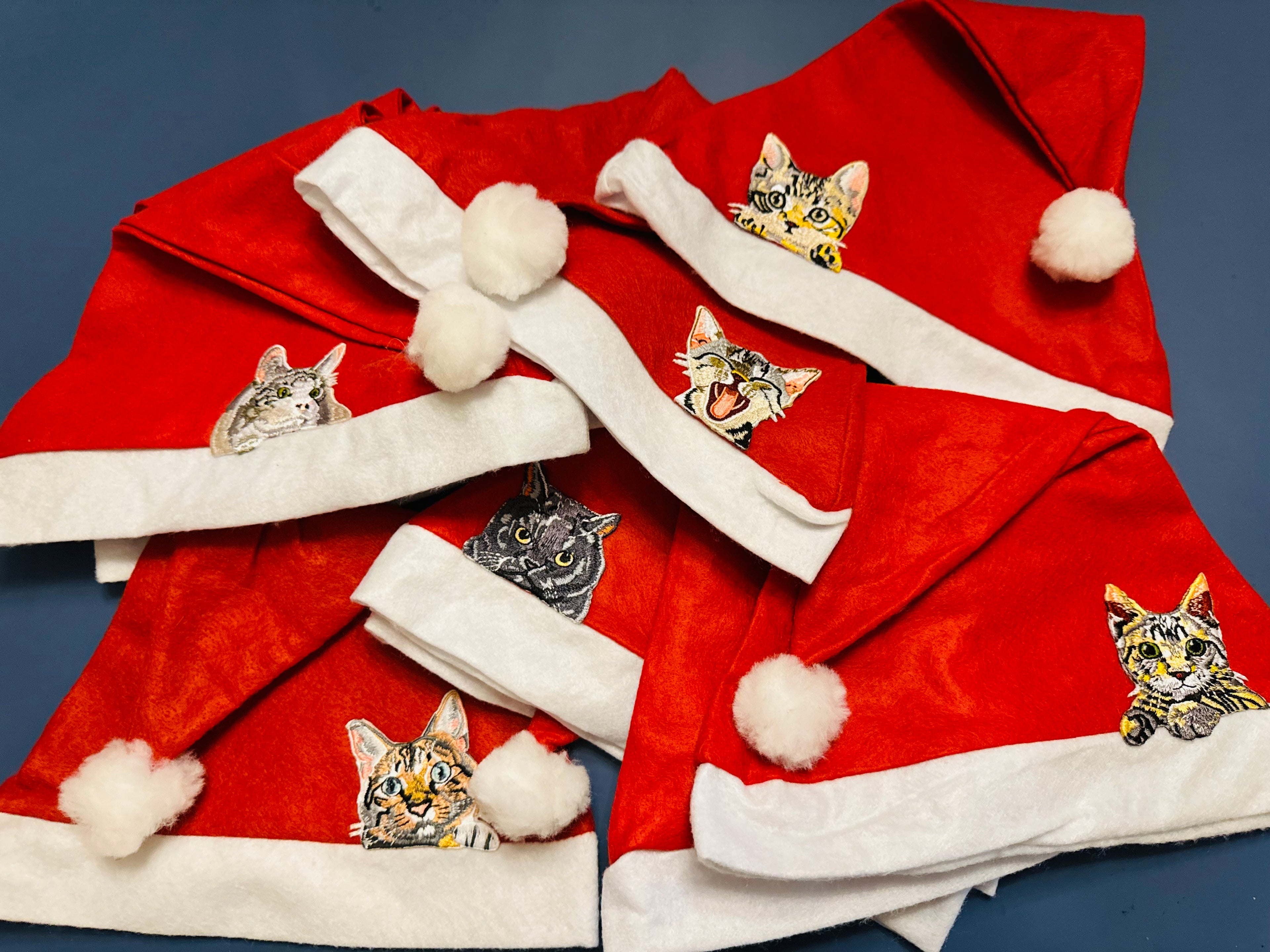 Chapeau de Père Noël chat avec attitude