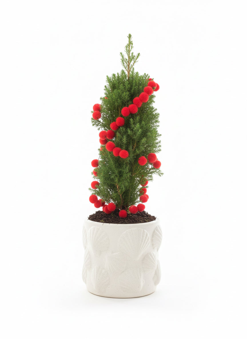 Artisan Pot Plant — Christmas “Mini Tree”
