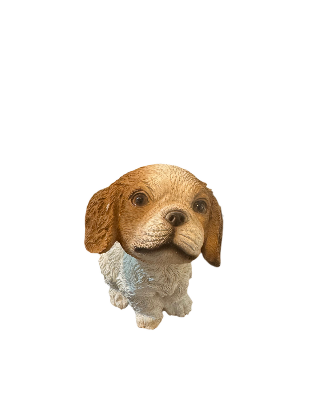 Chiots à tête branlante