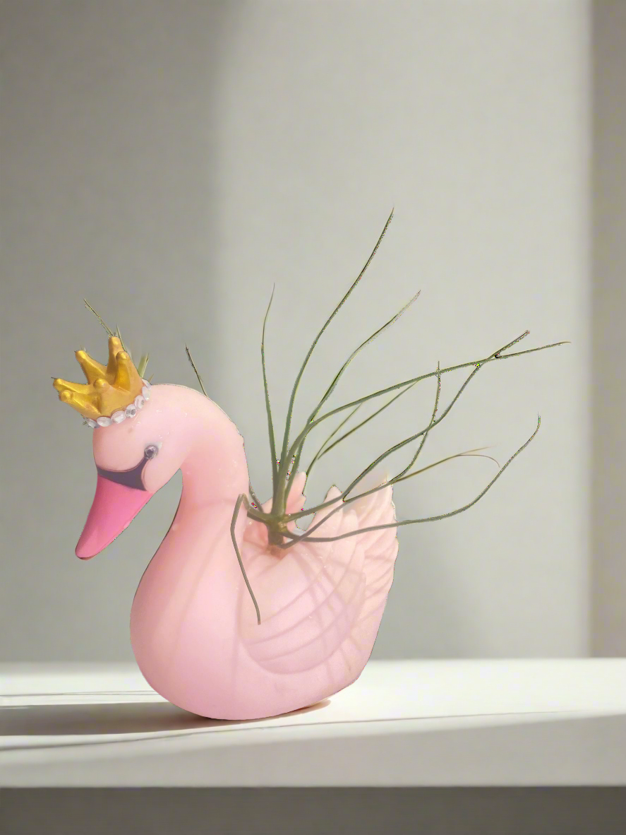 Swan Air Plant
