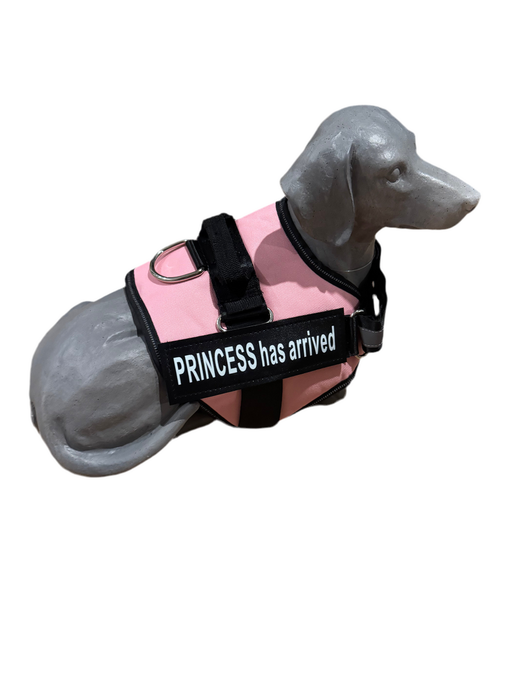 “Princess Has Arrived” Dog Harness