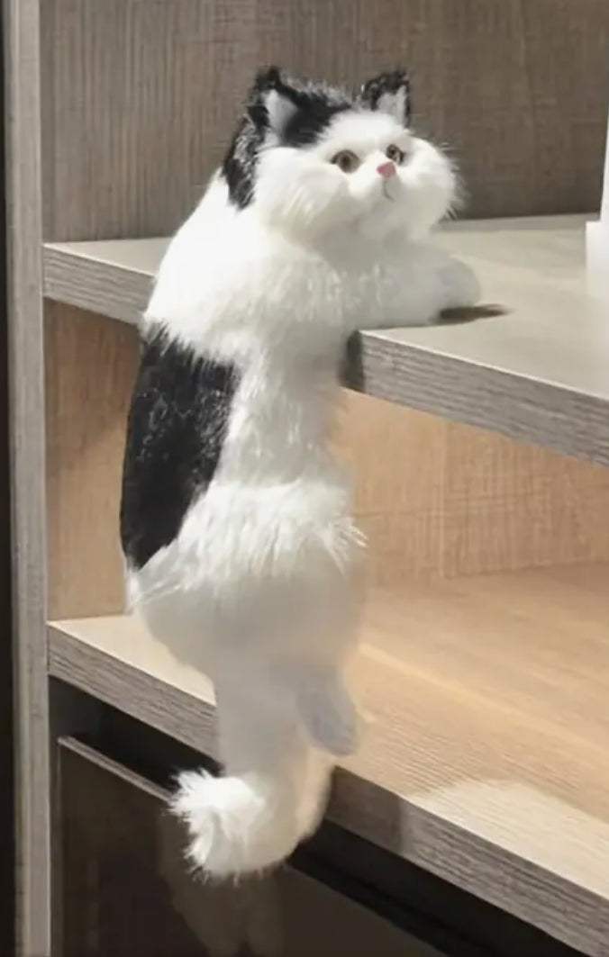 Jouet d'escalade pour chat