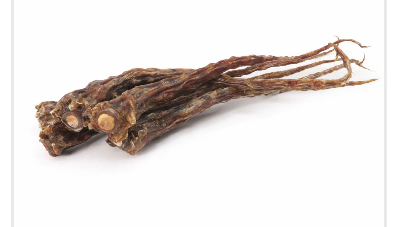 Beef Tail (100% Natural) for Dogs & Cats