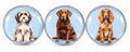 Dog Glass Dome Fridge Magnet – 4cm