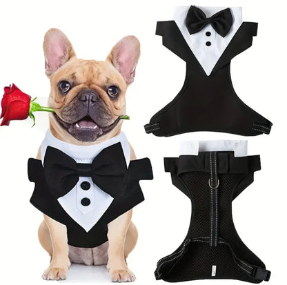 Dog Black Bow Tie with Tuxedo Harness