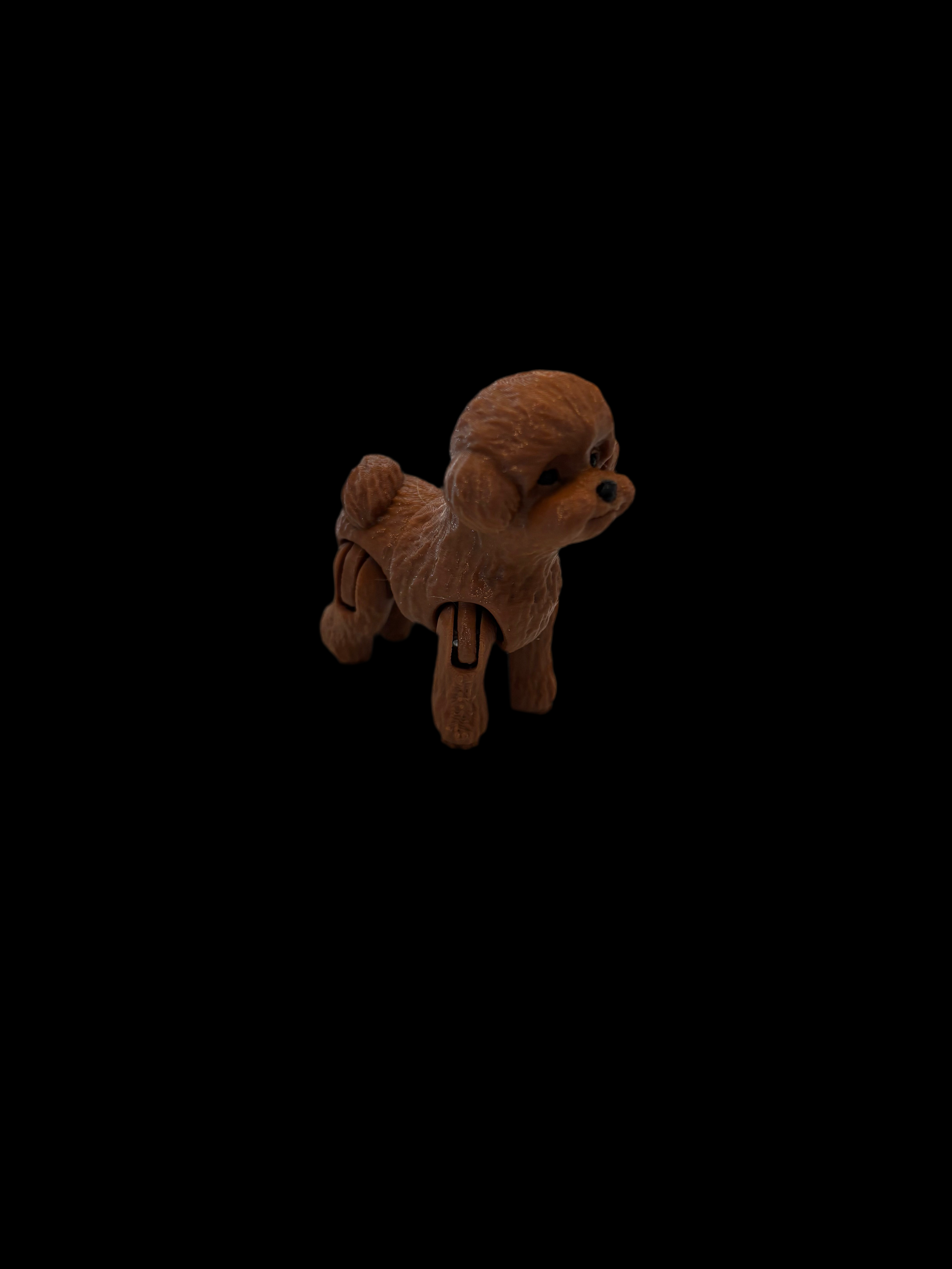 Poodle fidget toy