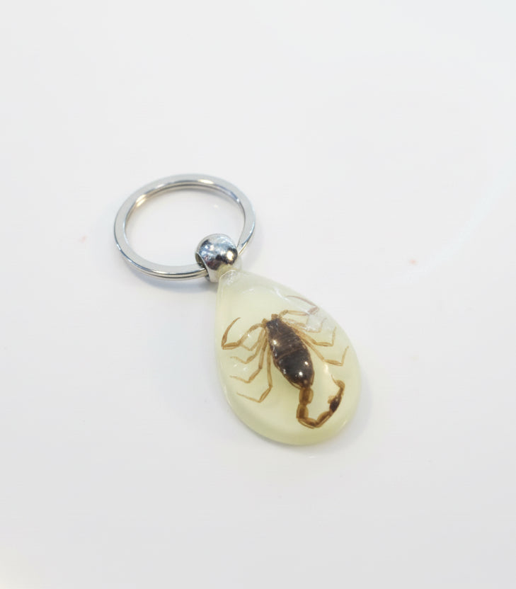 Scorpion Keychain