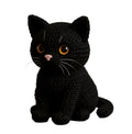 Black Cat Crochet Starter Kit