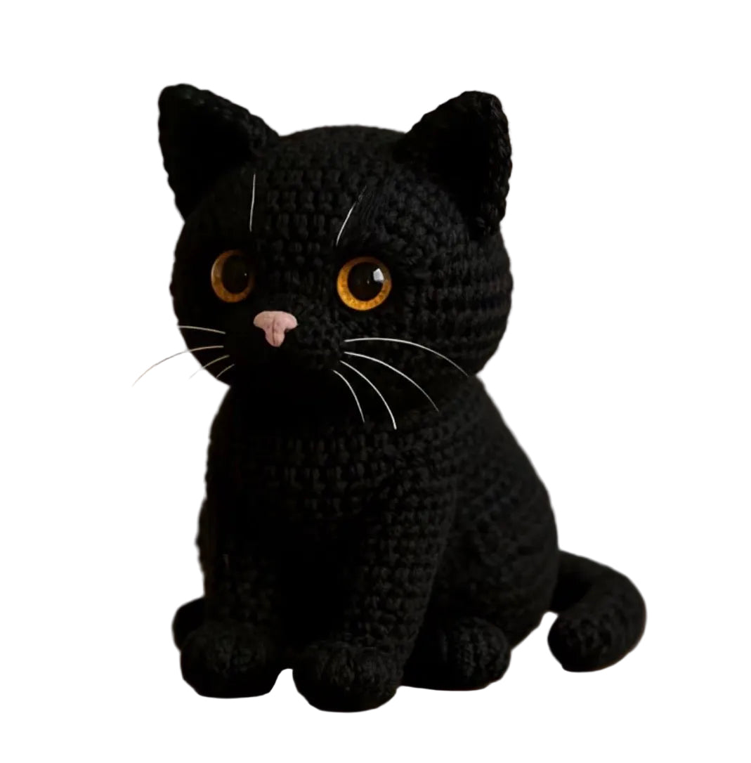 Black Cat Crochet Starter Kit