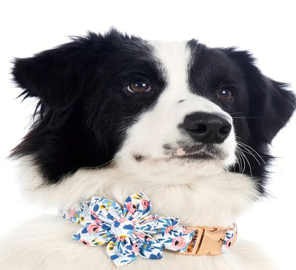 Fabric collar with flower for dog or cat.