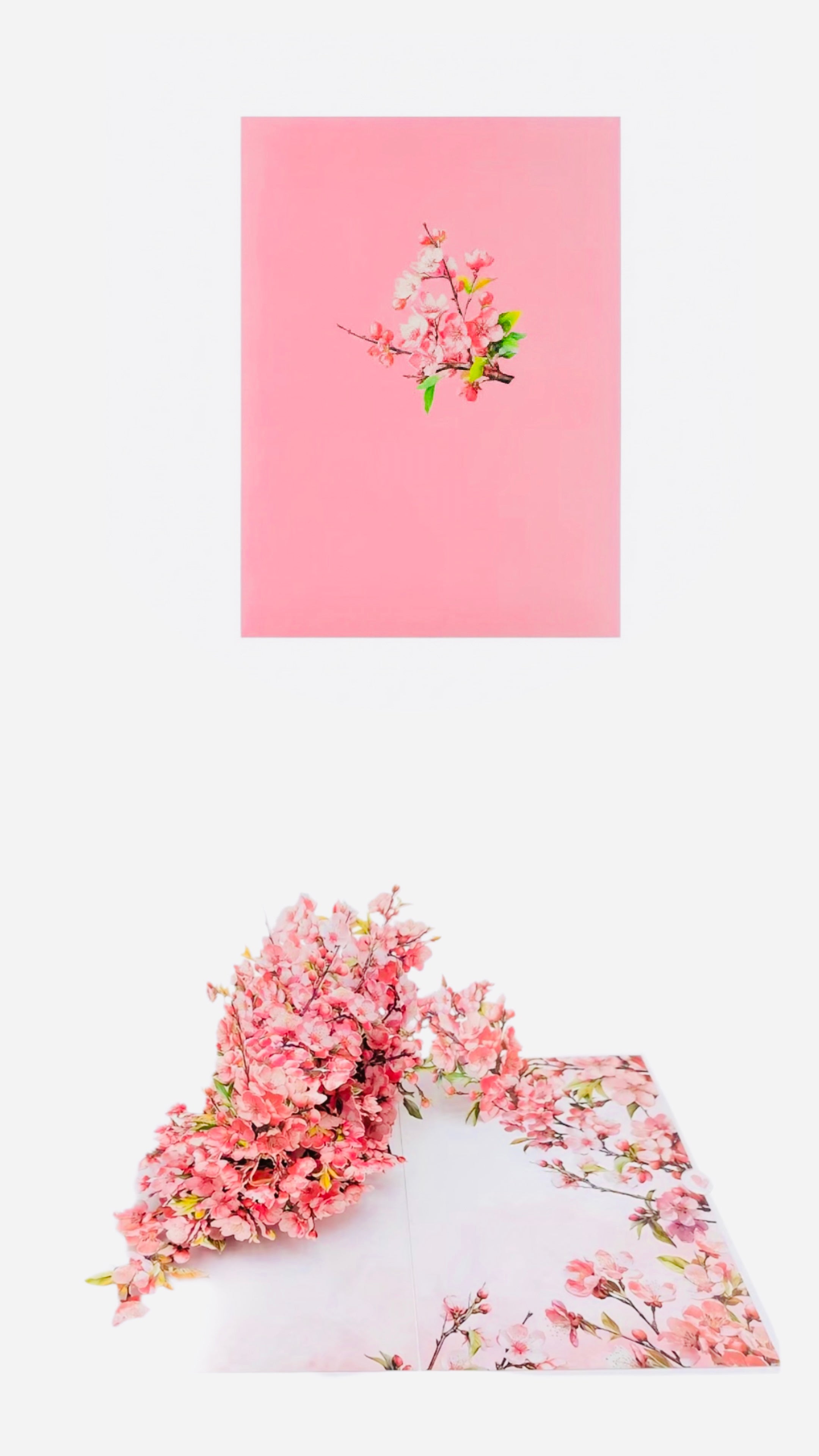 Pop-Up Blossoms Blank Greeting Card