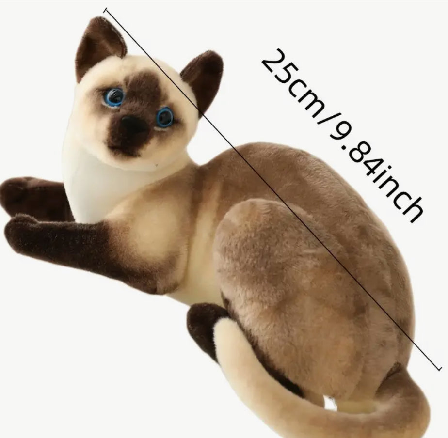 Peluche chat (Siamois ou Tabby)