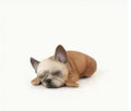 Figurine de chien endormi