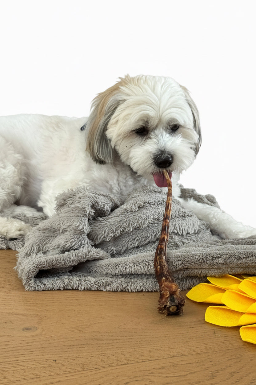 Beef Tail (100% Natural) for Dogs & Cats