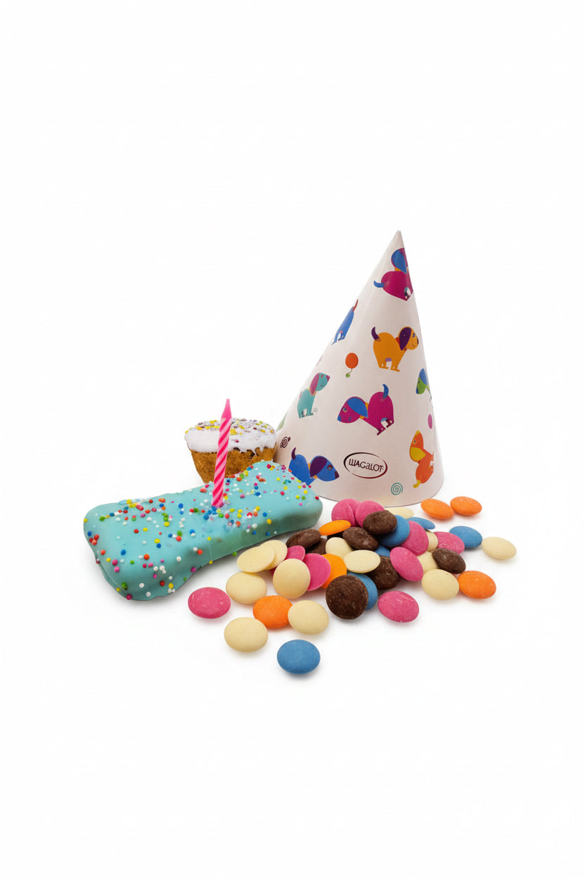 Blue Dog Birthday in a Box Kit