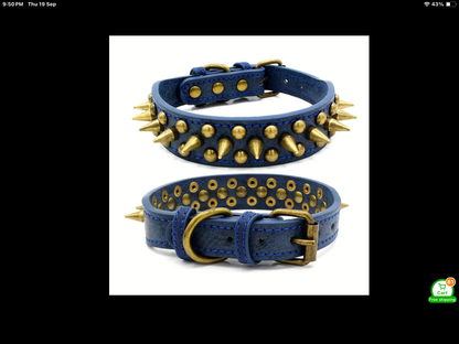 Blue Leatherette pet collar with gold studs