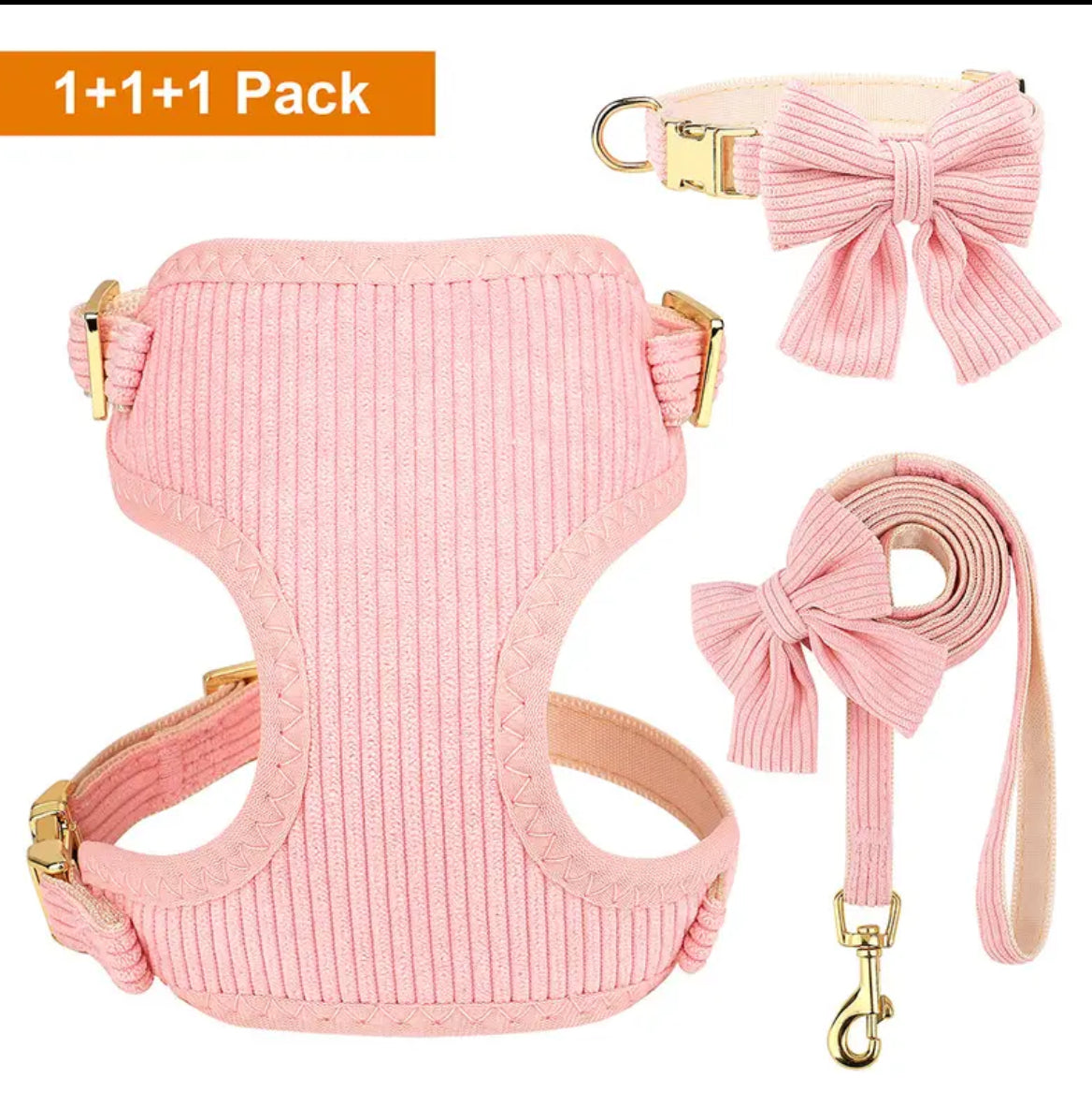 Set: Pink corduroy collar, leash & harness