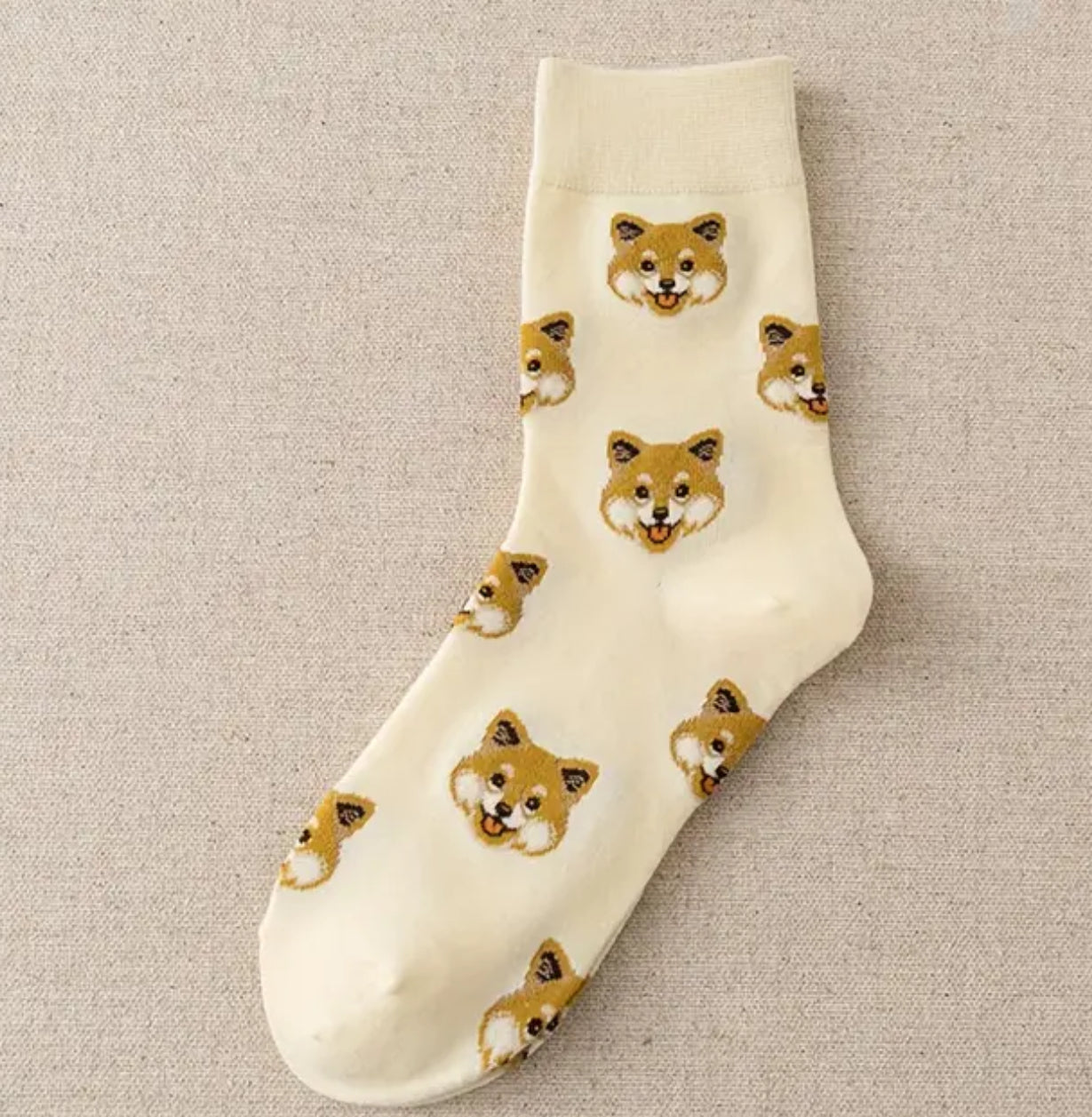 Jack Russell dog socks