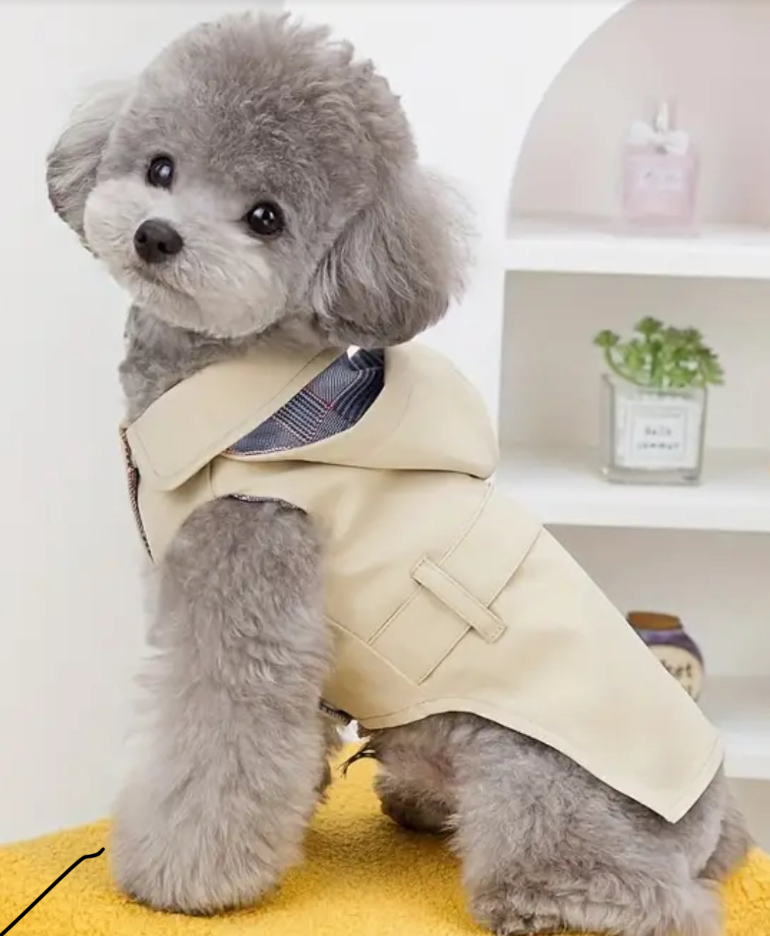 Pet Raincoat Trench Coat