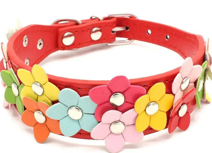 Flowers pet collar