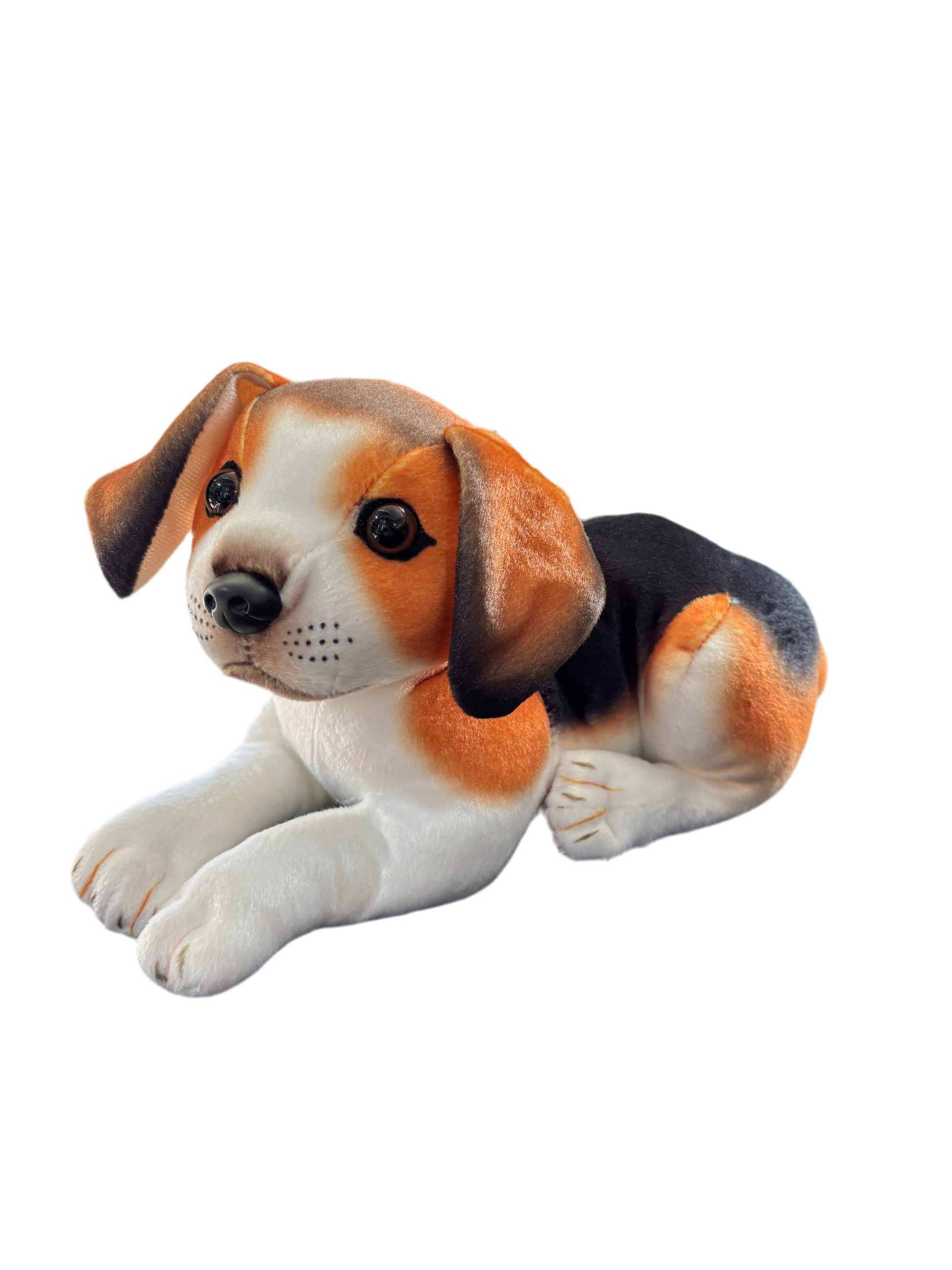 Beagle teddy