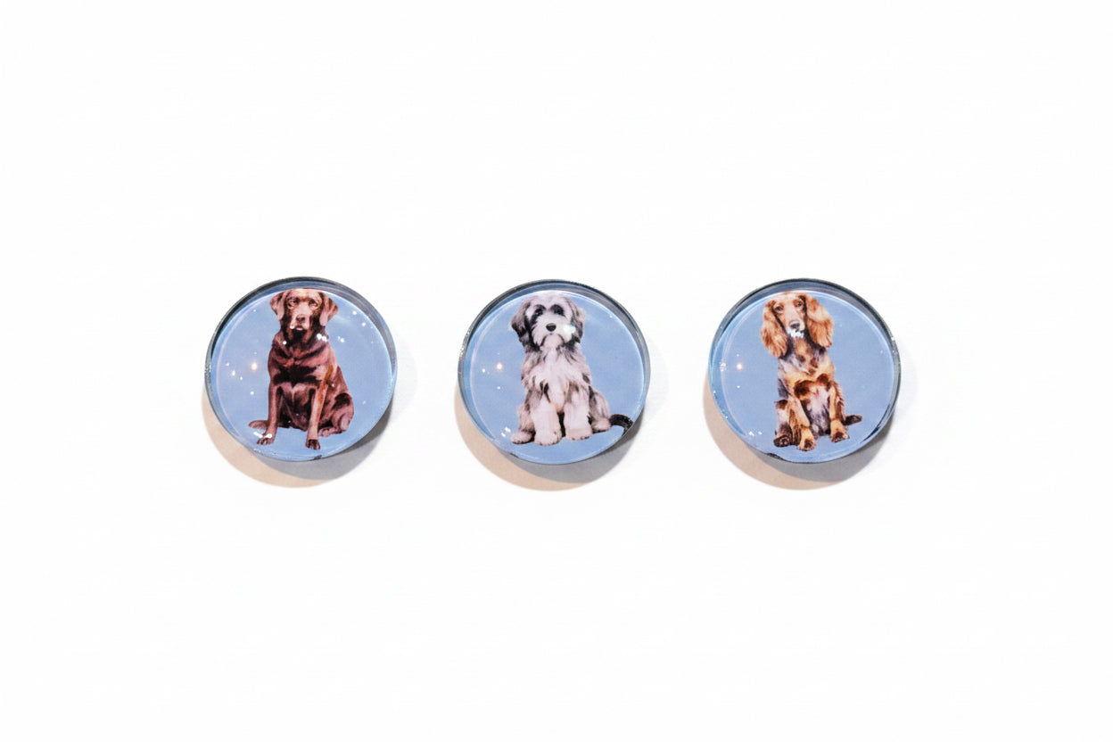 Glass Dog  Magnet