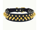 Collier pour animal de compagnie en similicuir noir avec clous dorés