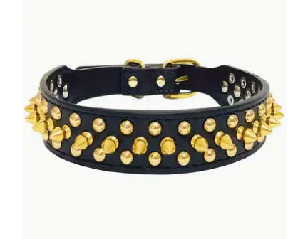 Black Leatherette pet collar with gold studs