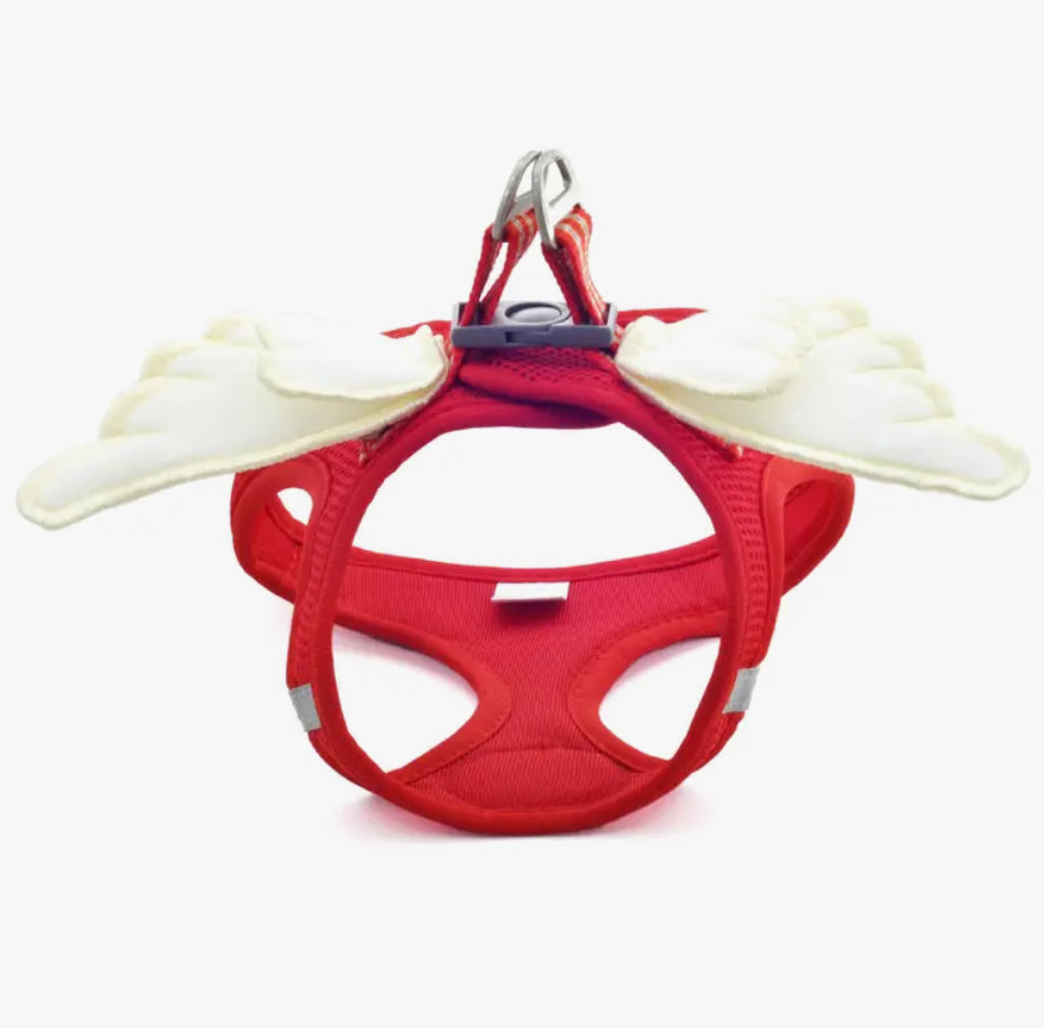Harnais pour chien Angel Wings