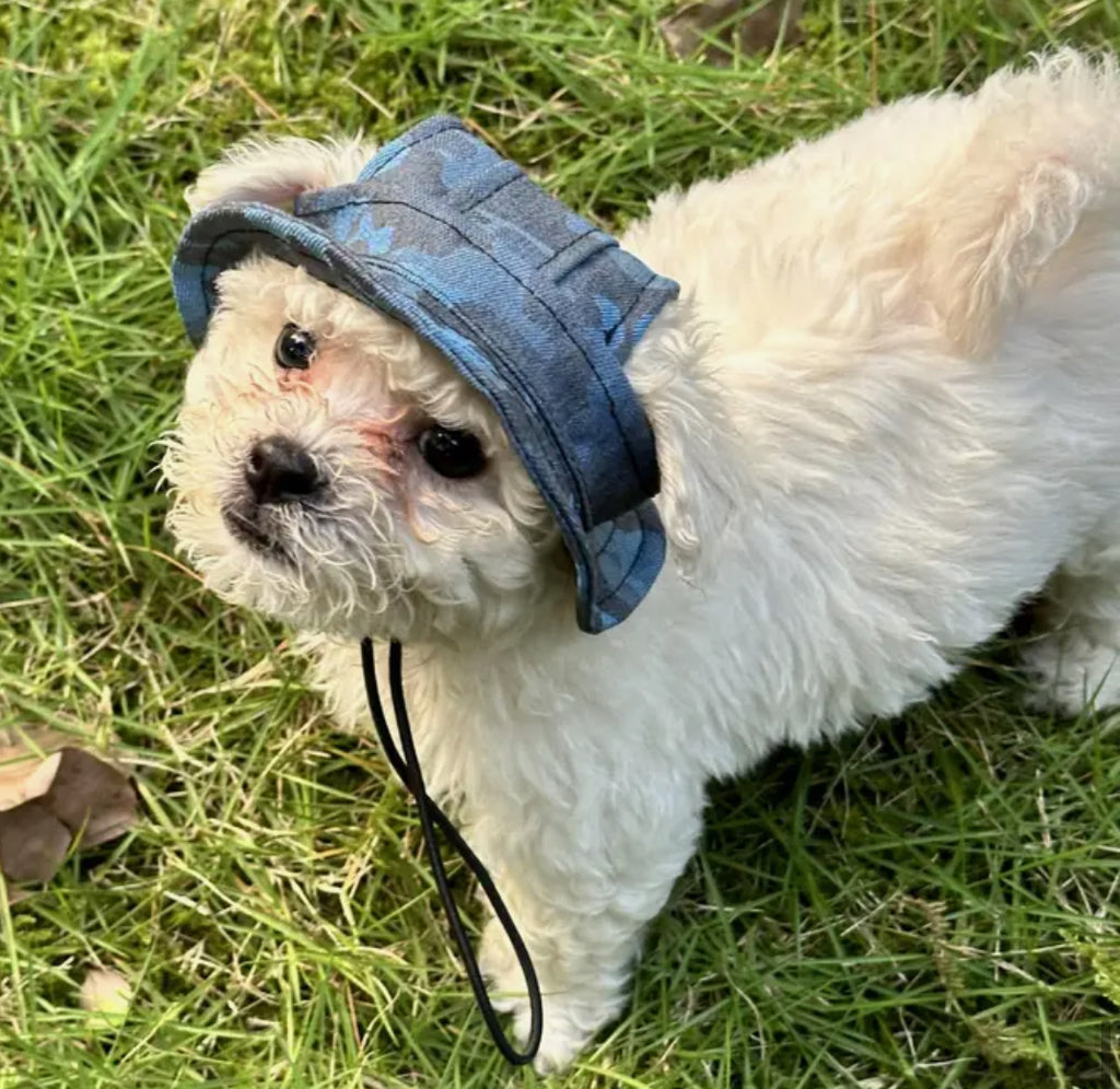Chapeau bleu à motif militaire pour animaux de compagnie