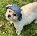 Blue Military Pattern Pet Hat