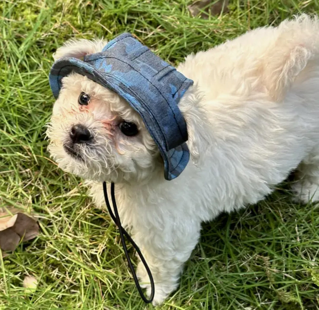 Blue Military Pattern Pet Hat