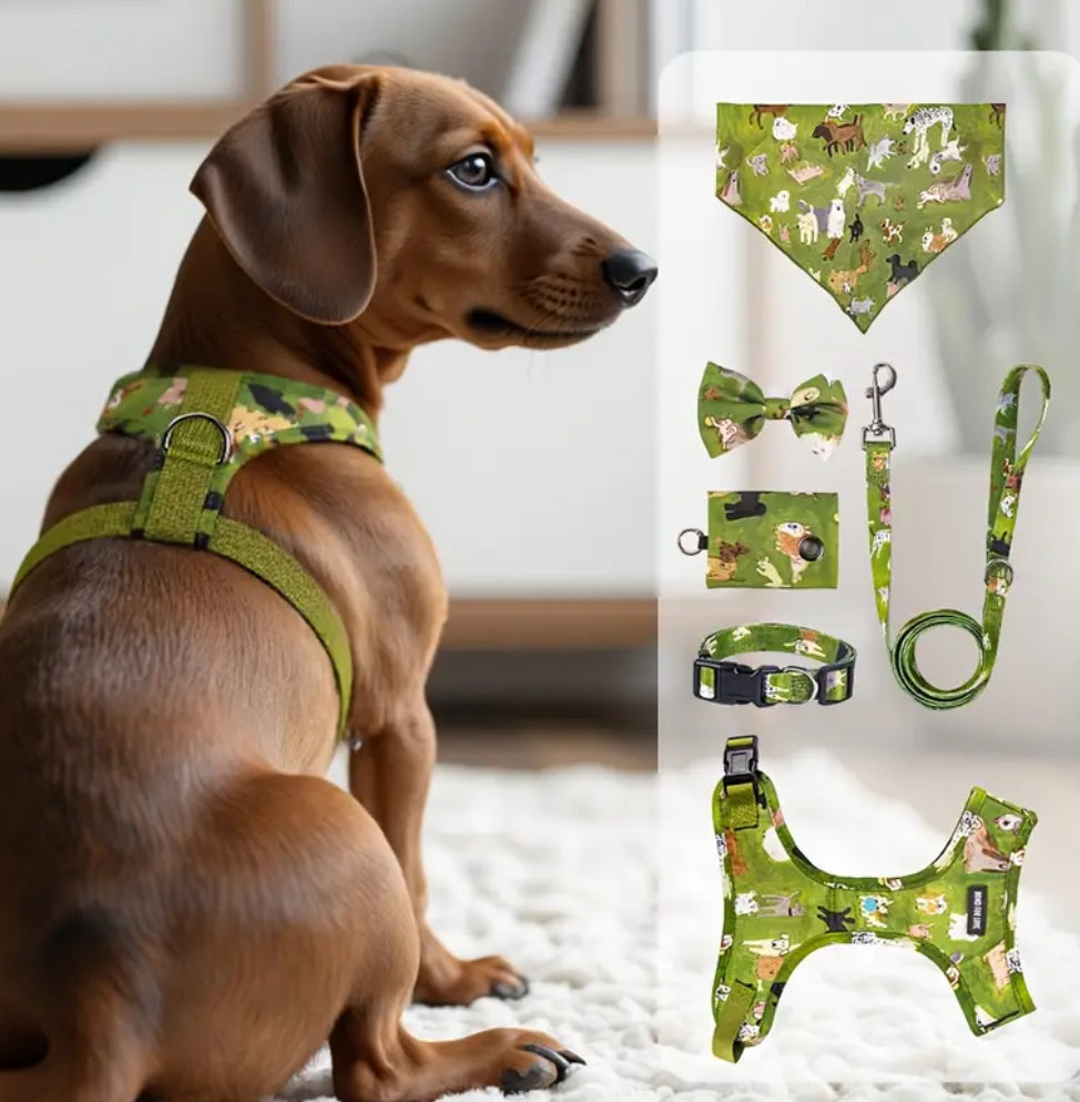 Set of 6 Dog Harness Collar Bow Leash