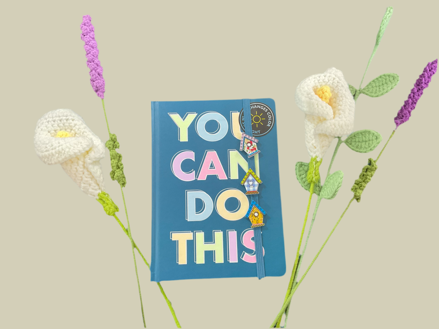 “You can do this” notebook