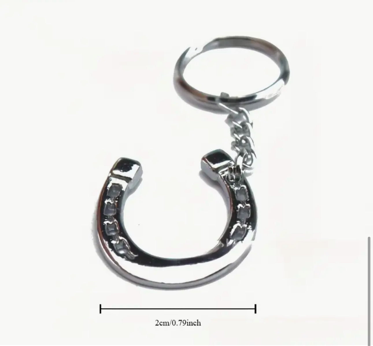 Silver Horseshoe Keychain
