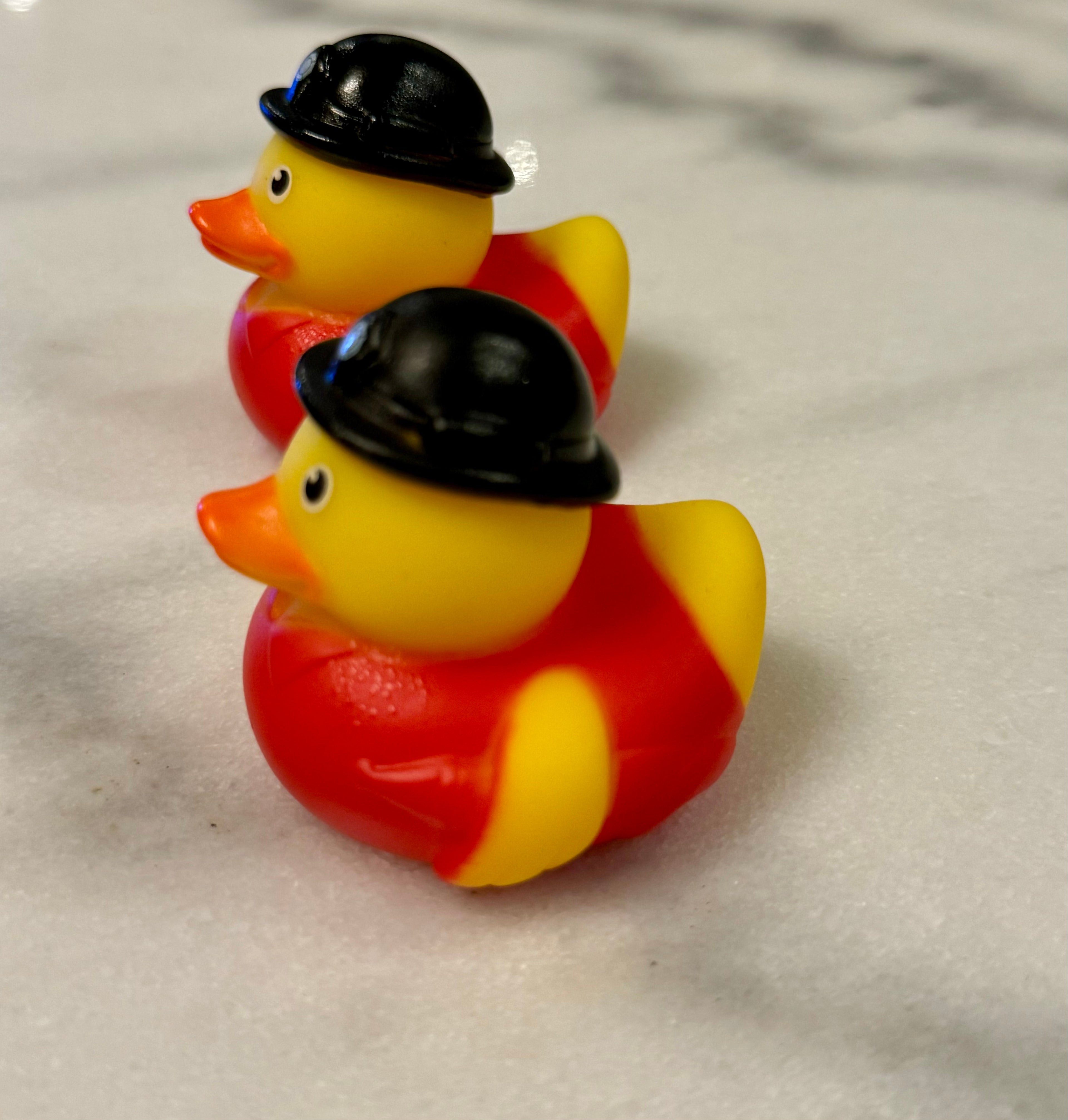 Canard en caoutchouc (Garde)