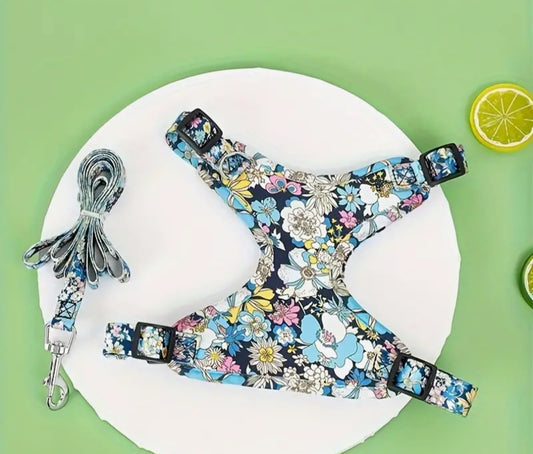 Floral Dog Harness & leash set