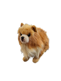 Peluche Poméranienne