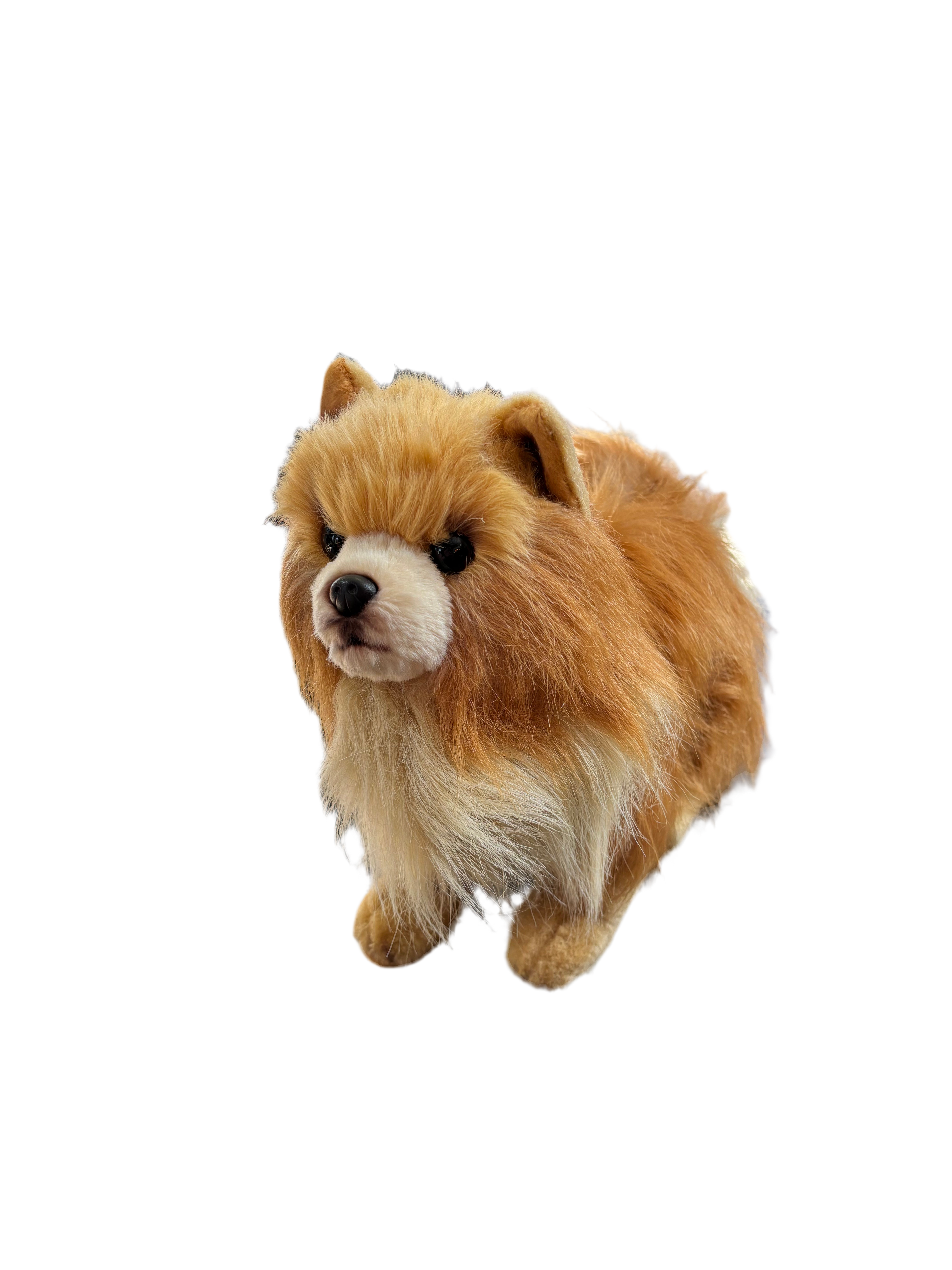 Peluche Poméranienne