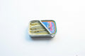 3D Sardines Magnet